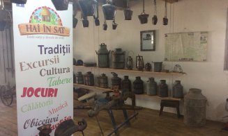 Safari cu bivoli la Cluj