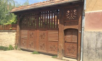 Safari cu bivoli la Cluj