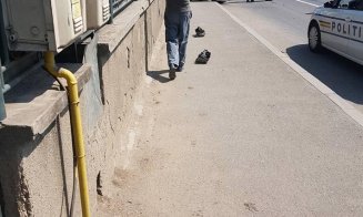 Accident pe Oaşului. Logan înfipt într-un stâlp