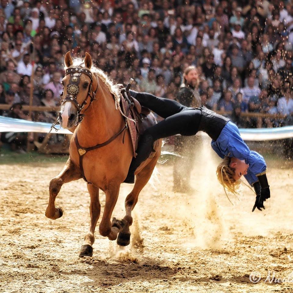 Show-uri ecvestre, în premieră în România, la Salina Equines Horse Trophy 2018. Invitat special, cascador în Mission Impossible și Hunger Games