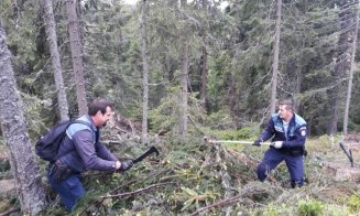 Desfrişări ilegale, descoperite de poliţiştii din Cluj