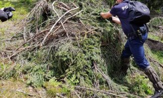 Desfrişări ilegale, descoperite de poliţiştii din Cluj