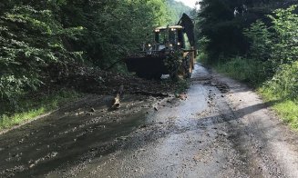 Alunecări de pământ şi arbori căzuţi pe un drum de munte din Cluj