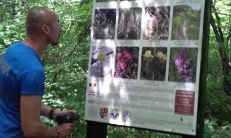 Noi marcaje, panouri de informare şi trasee curăţate în Cheile Turzii