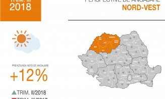Firmele din Nord-Vest angajează. Domeniile cu cele mai multe oferte