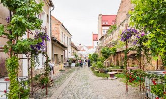 Piața de flori de pe Potaissa şi-a deschis porţile