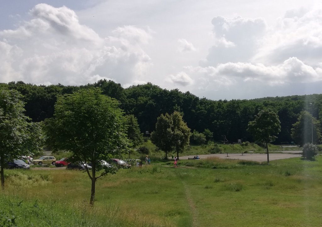 Unde mai vrea primăria să construiască un patinoar. Sport pe 3,7 hectare