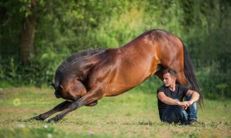 Biletele pentru spectacolele Salina Equines Horse Trophy s-au pus în vânzare