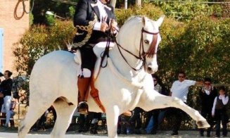 Biletele pentru spectacolele Salina Equines Horse Trophy s-au pus în vânzare