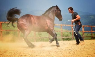 Biletele pentru spectacolele Salina Equines Horse Trophy s-au pus în vânzare