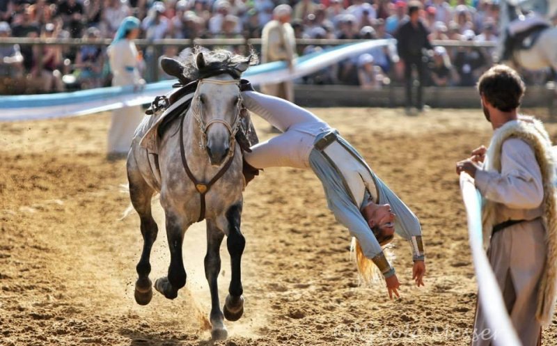 Bilete de la 65 de lei pentru show-urile speciale de la Salina Equines Horse Trophy 2018