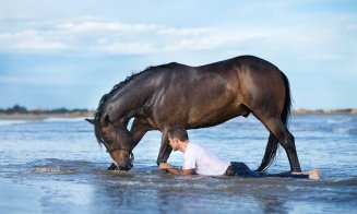 Biletele pentru spectacolele Salina Equines Horse Trophy s-au pus în vânzare
