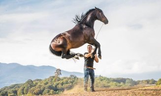 Biletele pentru spectacolele Salina Equines Horse Trophy s-au pus în vânzare