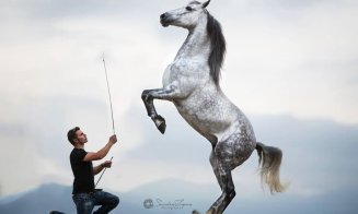 Biletele pentru spectacolele Salina Equines Horse Trophy s-au pus în vânzare
