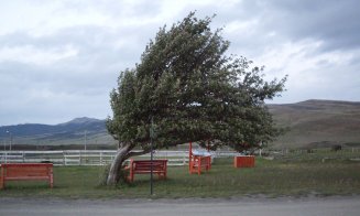 Vânt de 60 km/h peste Cluj. Alertă de cod galben