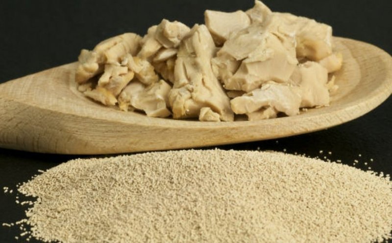 Drojdia de bere – aliment, dar și medicament