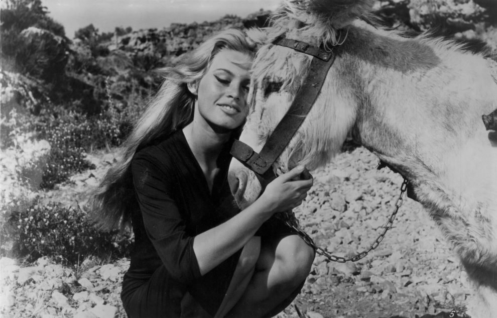 Dr. Quinn: Secrete de vedete – sfaturile de viață ale celebrei Brigitte Bardot