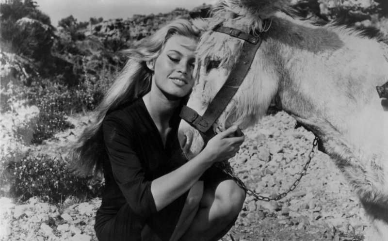 Dr. Quinn: Secrete de vedete – sfaturile de viață ale celebrei Brigitte Bardot