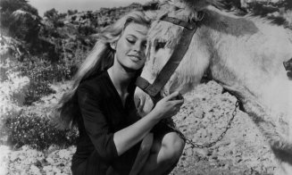 Dr. Quinn: Secrete de vedete – sfaturile de viață ale celebrei Brigitte Bardot