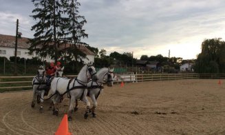 Salina Equines Horse Trophy. Quintender, câștigătorul  turului Gold în a doua zi a competiției