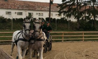 Salina Equines Horse Trophy. Quintender, câștigătorul  turului Gold în a doua zi a competiției