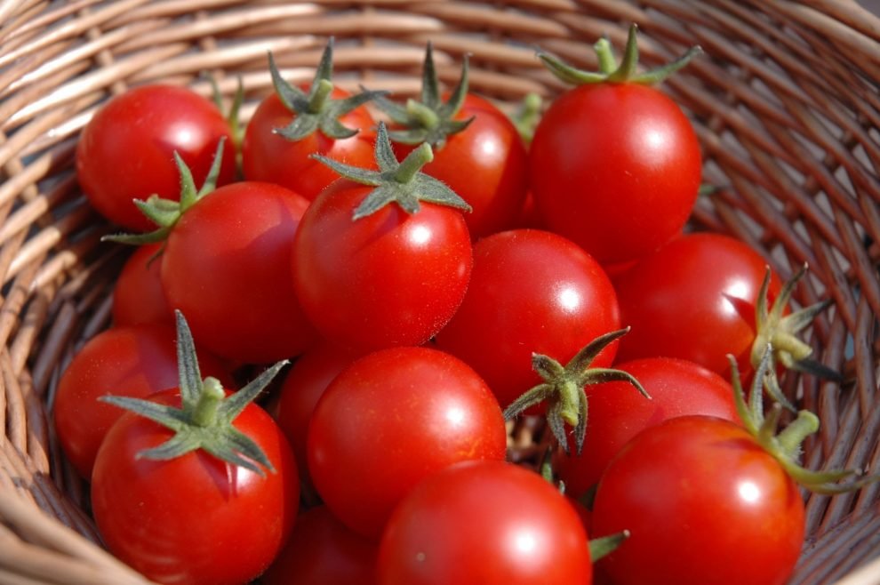 Banalele roşii, o comoară pentru sănătate