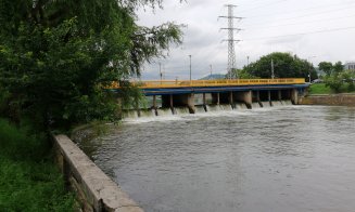 Garibaldi trece anul. Cât de mult se lățește