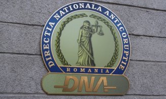 Cine asigură interimatul la DNA