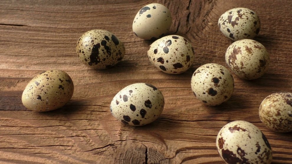 9 beneficii surprinzătoare ale ouălor de prepeliță