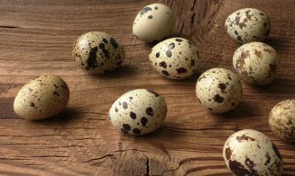 9 beneficii surprinzătoare ale ouălor de prepeliță