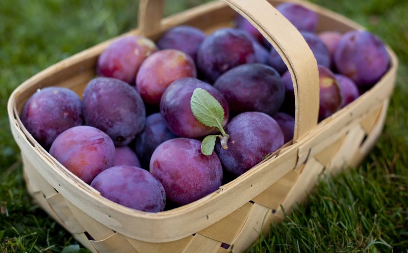 Dieta cu prune te scapă de 3 kg în 7 zile. VEZI meniul