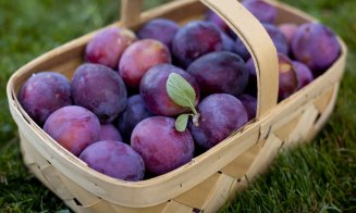 Dieta cu prune te scapă de 3 kg în 7 zile. VEZI meniul