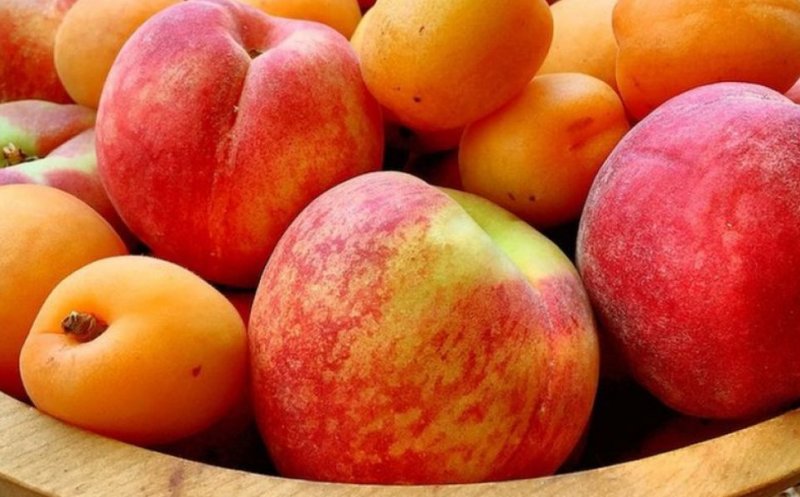 Dieta cu piersici şi caise: detoxifică organismul şi slăbiţi eficient + scoateţi apa în exces din zonele cu edeme