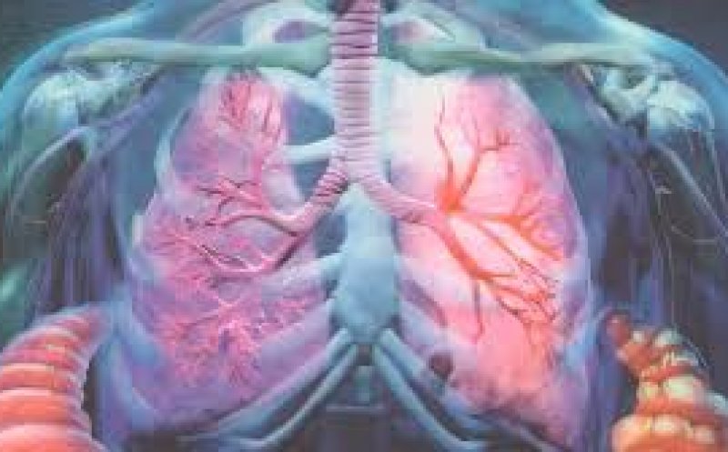 Cancerul la plămâni depistat prin îngheţare. Criobiopsia și crioterapia, folosite cu succes la Cluj-Napoca