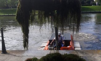 Igienizare pe Someş, la Cluj. Au fost "culese" 30 de tone de vegetație acvatică