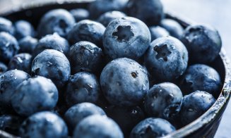 Dieta cu afine, secretul frumuseţii şi longevităţii