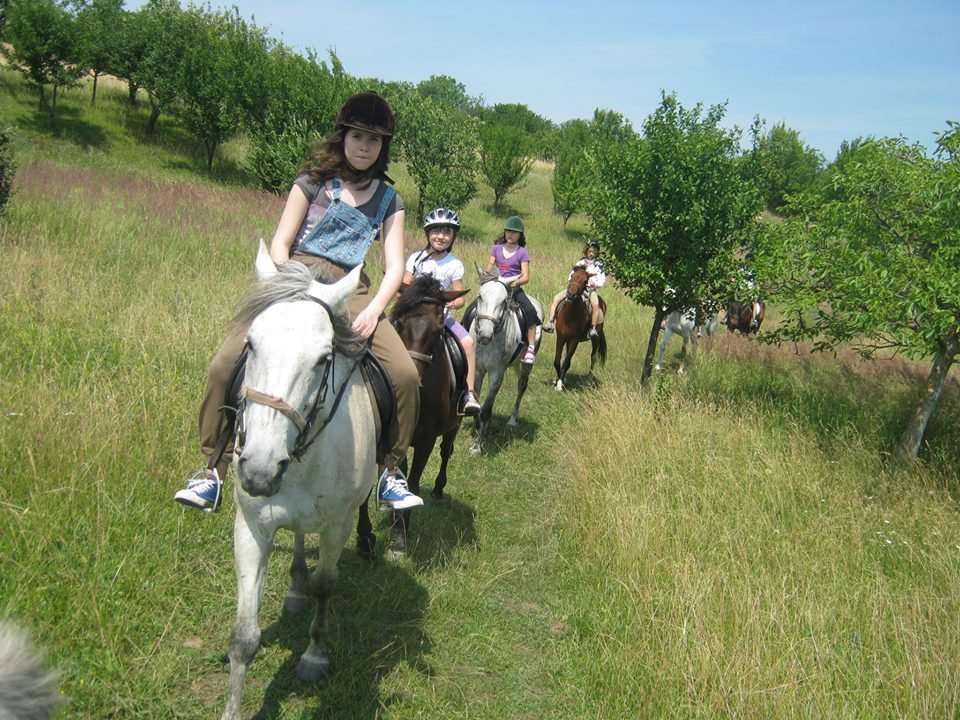 Ziua Ecvestră Clujeană, o zi în natură pentru întreaga familie