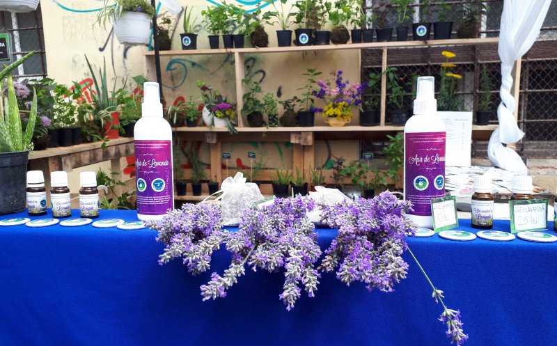 USAMV participă la Central Park Wine Festival, cu produse proprii: iaurt, miere, fructe, ulei şi arbuști ornamentali