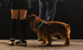 Primul festival al toamnei de la Cluj. Septemberfest, în imagini