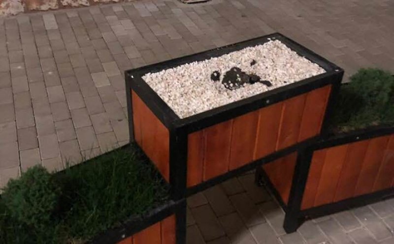Jardinierele de flori proaspăt montate, furate de hoți la Câmpia Turzii
