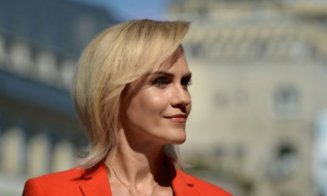 Firea: "Liviu Dragnea are o agendă paralelă cu cea a partidului"
