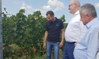 Comisarul european Phil Hogan, pe dealurile Durgăului din Cluj