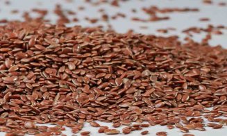 Beneficiile unei cure cu semințe de in. Scapi de kilogramele în plus și combați constipația