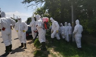 S-au plătit despăgubiri pentru pesta porcină. Ce trebuie să ştie crescătorii