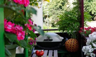 Clujul cu Flori. Cum arată cele mai frumoase ferestre, balcoane, faţade şi curţi din oraş FOTO