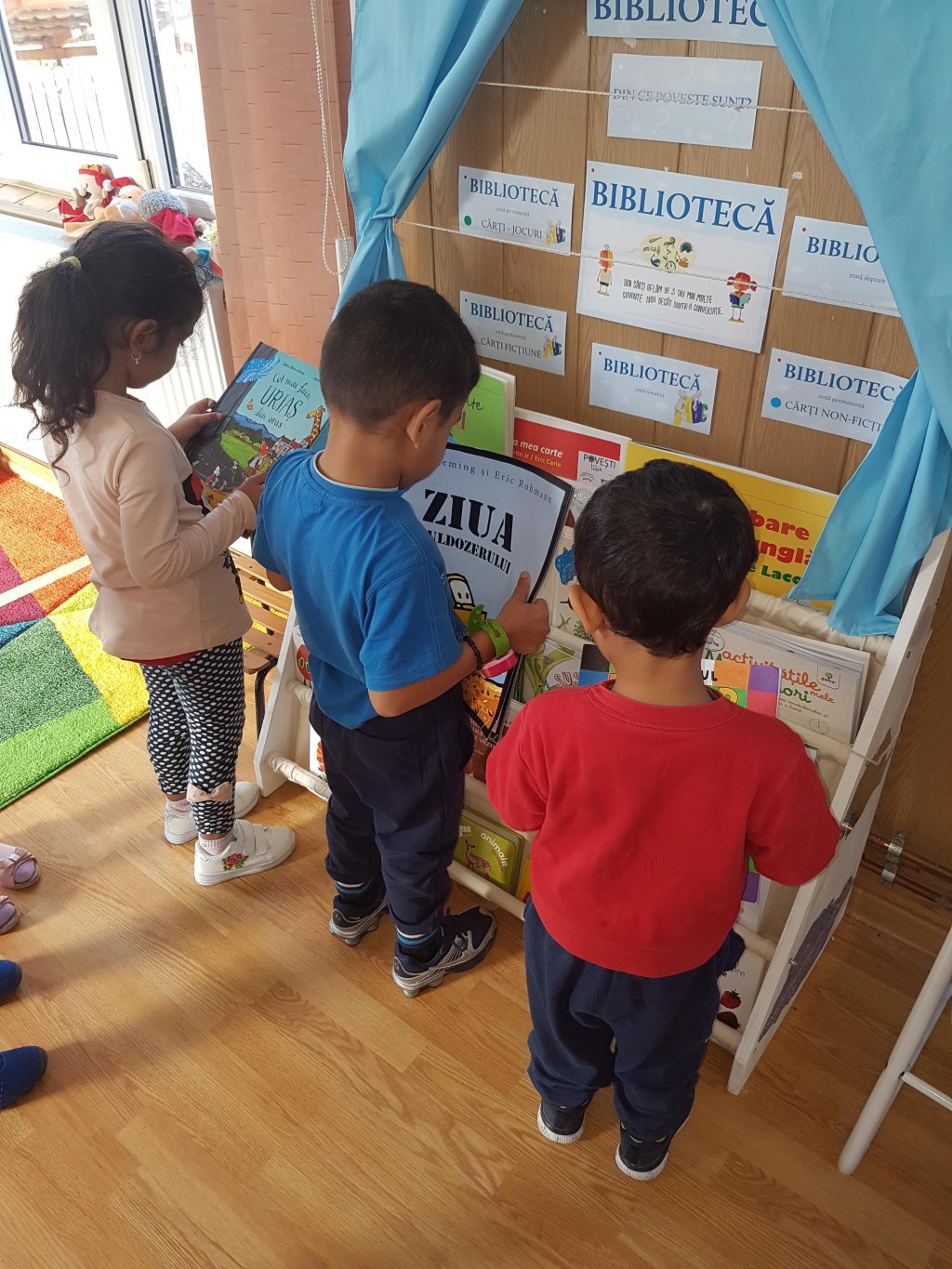 Program pilot în învăţământul din Cluj: training pentru profesori, cărţi pentru copiii de la ţară şi biblioteci în grădiniţe