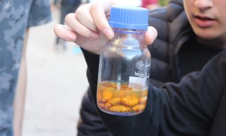 "Toamna la H33" a adus aromele sezonului pe pailele gustative ale clujenilor, printr-un festin de produse "made in Cluj"