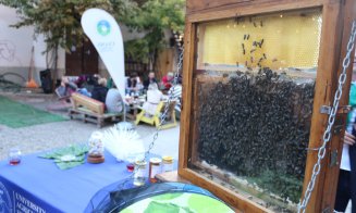 "Toamna la H33" a adus aromele sezonului pe pailele gustative ale clujenilor, printr-un festin de produse "made in Cluj"