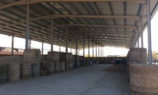 Olandezii vor lapte mai bun și fermieri mai bogați în Ardeal