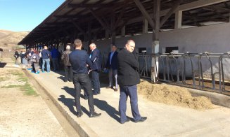 Olandezii vor lapte mai bun și fermieri mai bogați în Ardeal